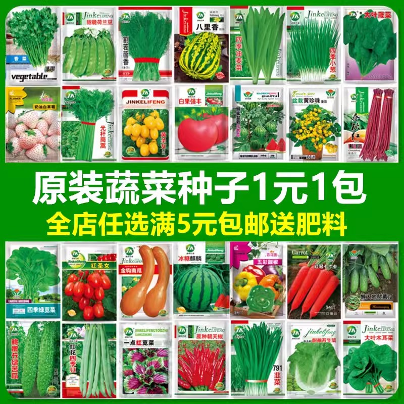 蔬菜种子四季阳台盆栽