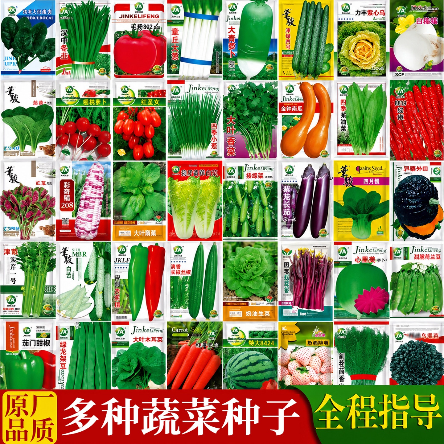 菜籽种大全蔬菜种孑四季播种萝卜香菜籽种生菜葱蒜辣椒大白菜种子