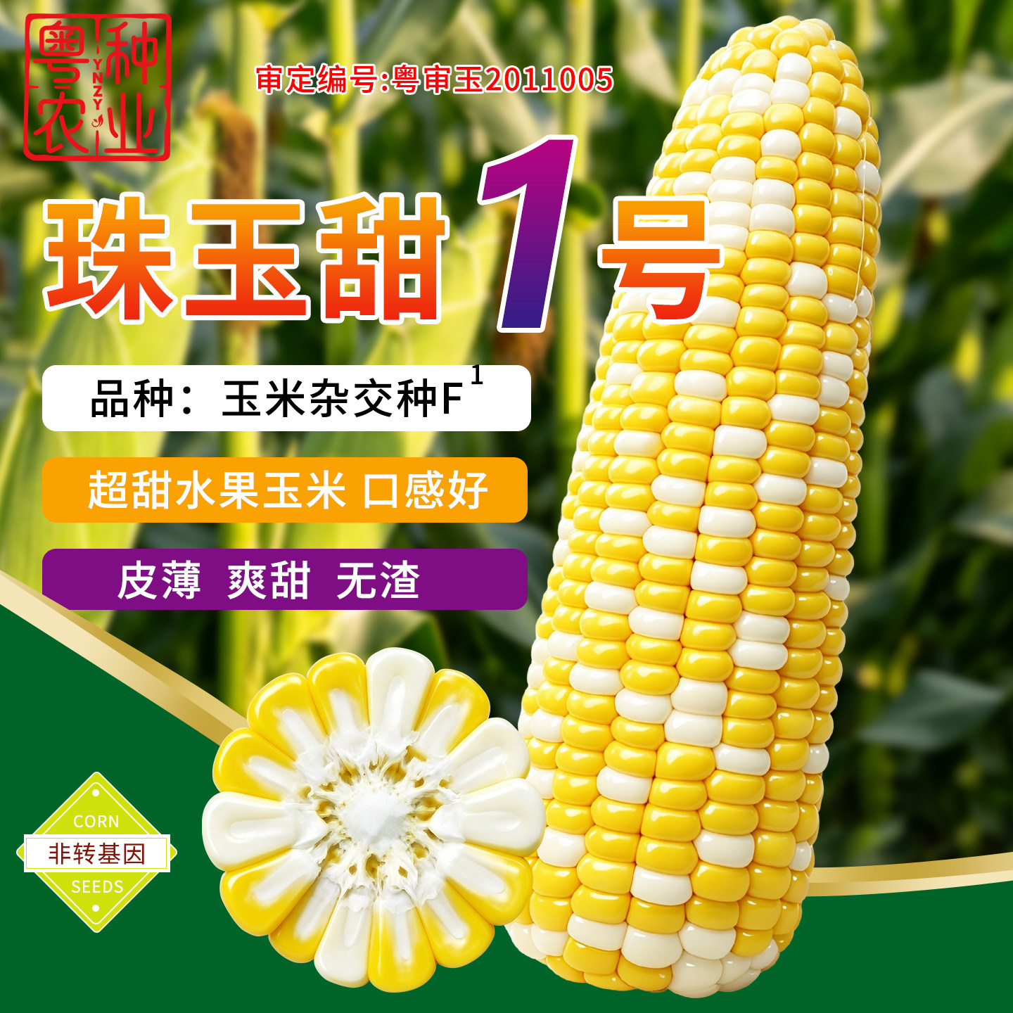 甜水果玉米种子四季播高产