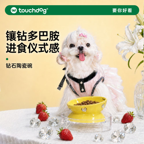 Touchdog它它陶瓷猫狗慢食碗