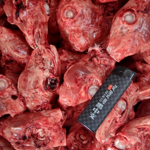 现杀无冰新鲜兔头10斤通货批发