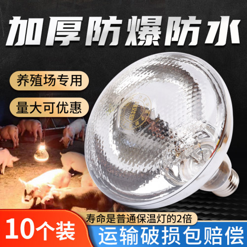 保温灯养殖场专用仔猪小鸡育雏养殖场取暖灯泡兽用节能加热保暖灯
