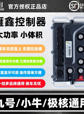 雁鑫控制器九号MZ/NZ/N3/M3/M5小牛FX风速NXT极核AE4/AE5通用直上