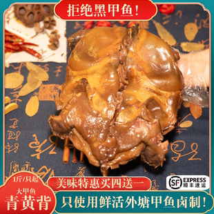 麻辣五香卤甲鱼大甲鱼外塘散养甲鱼青黄背团鱼卤王八老鳖开袋即食