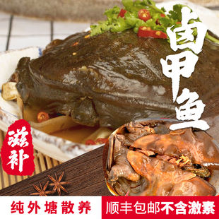顺丰包邮麻辣五香卤甲鱼现卤现发开袋即食外塘散养大甲鱼水鱼团鱼
