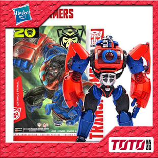 孩之宝变形金刚玩具猴年限定BW空袭猩猩将军擎天柱专柜3C大陆行货