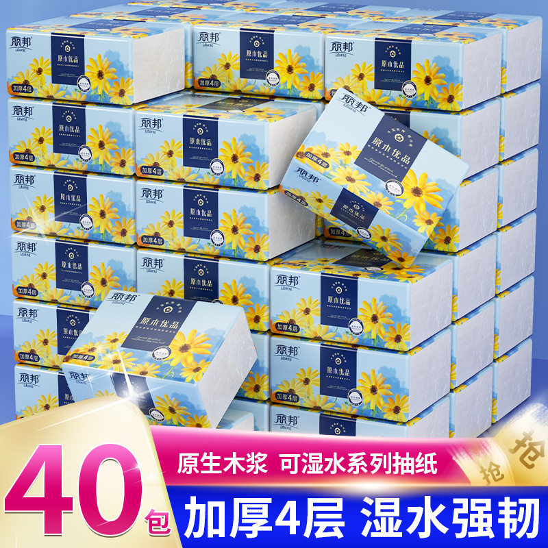 丽邦300张抽纸家用餐巾纸面巾纸整箱实惠卫生纸巾纸抽中号115/173