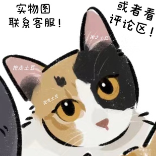 公仔抱枕毛绒陪睡猫咪玩具闺蜜女朋友生日礼物 高档茶米猫玩偶