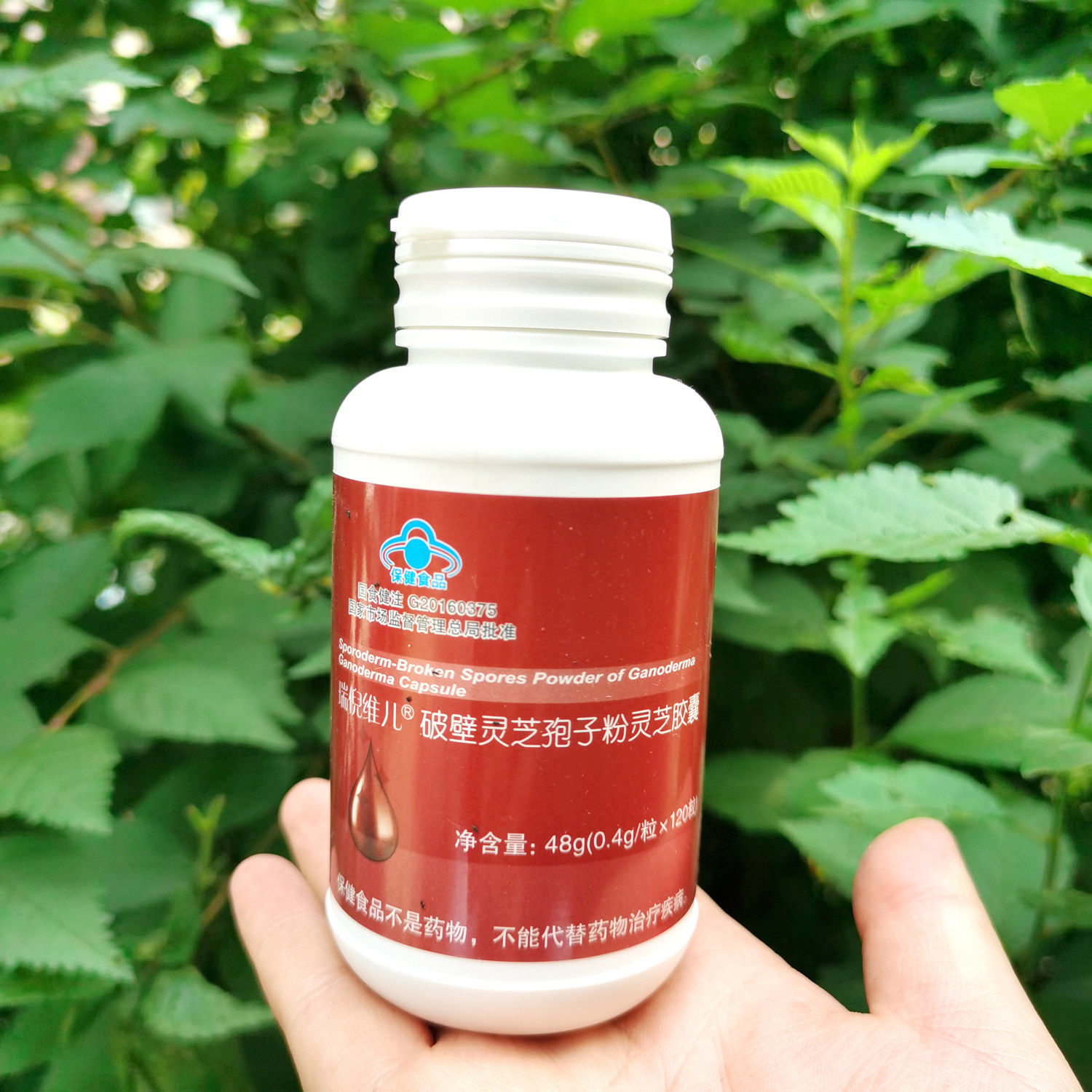 【灵芝】天津瑞倪维儿灵芝胶囊破壁灵芝孢子粉灵芝胶囊120粒