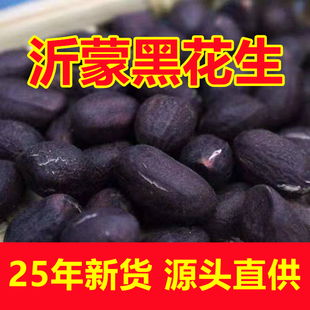 正宗新货大小粒黑花生米带壳生的原味种籽500g晒干山东黑皮富含硒