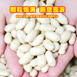25年新货脱皮生花生米大粒去皮花生仁烘焙牛轧糖商用新鲜原料山东