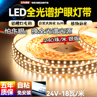 全光谱24V低压护眼自然光植物补光LED线性灯带超亮240珠照明灯带