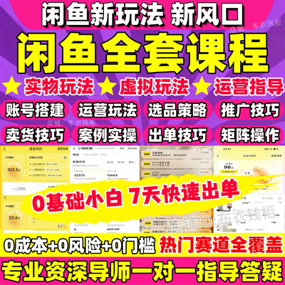闲鱼电商全套实战课程+1对1指导