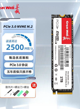 长城固态硬盘256/512GB/1/2TB