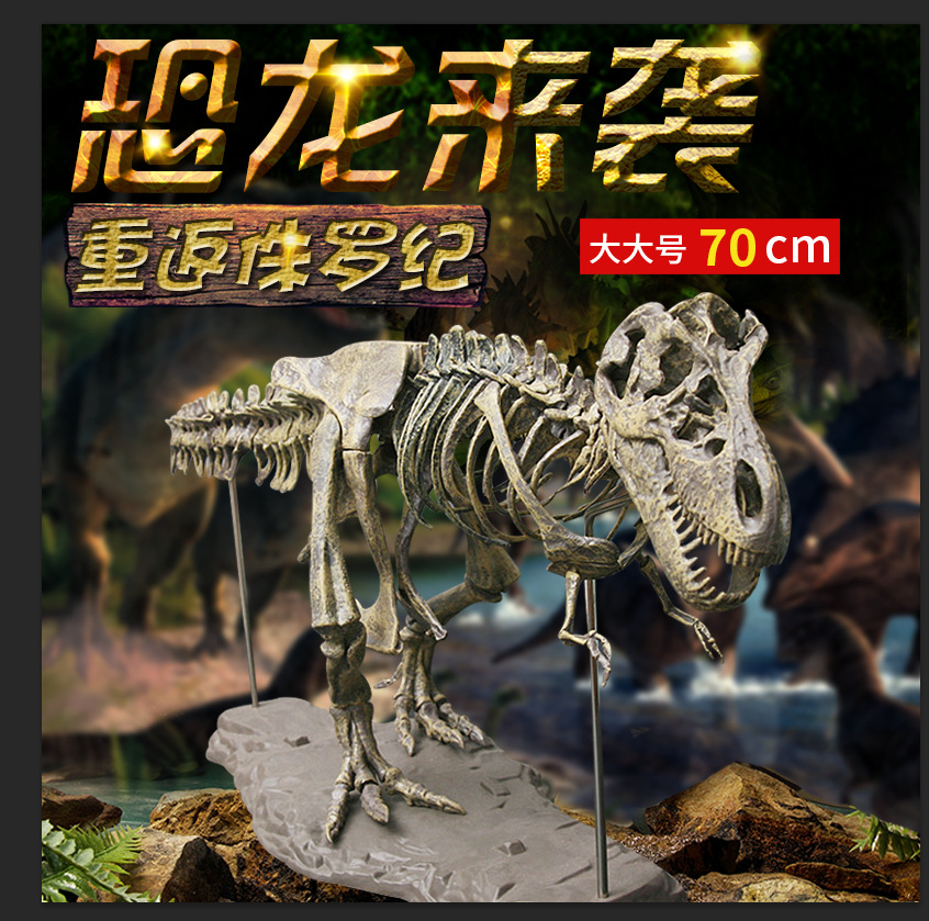 大号恐龙化石 拼装玩具摆件霸王龙骨架模型考古仿真64节骨骼益智