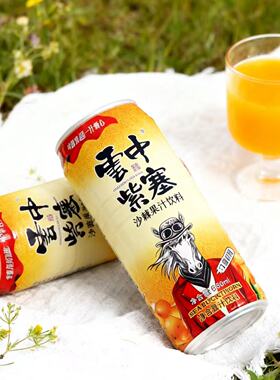 云中紫塞山西特产960ml罐装沙棘汁果味饮料果汁聚会送礼饮品
