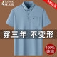 纯棉翻领polo衫 啄木鸟夏季 体恤冰丝薄款 t恤男宽松半袖 丝光棉短袖