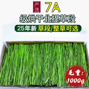 2025年烘干北提 提摩西草龙猫豚鼠兔子干草荷兰猪特级草粮毛重2斤