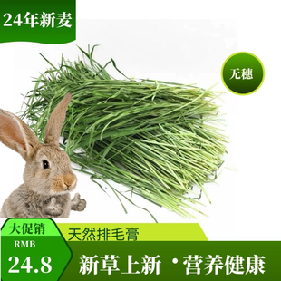 25年新烘干小麦草兔子龙猫荷兰猪粮食宠物饲料2斤1000g新草上市