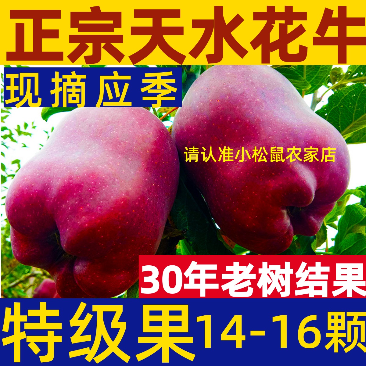 鲜果现摘甘肃天水花牛苹果10斤装