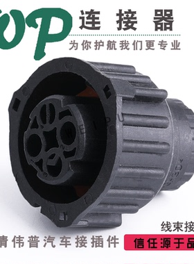 1-968421-3汽车圆柱形接插件 胶壳连接器 2孔插头 DJ7022Y-2.5-21