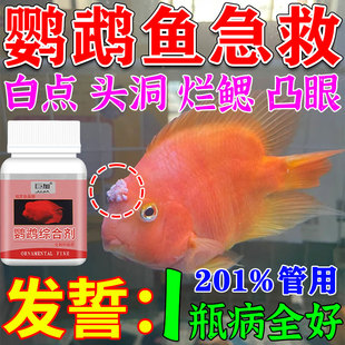 鹦鹉鱼观赏鱼专用药白点头洞烂鳃凸眼长白毛血红迷你鹦鹉鱼杀菌剂