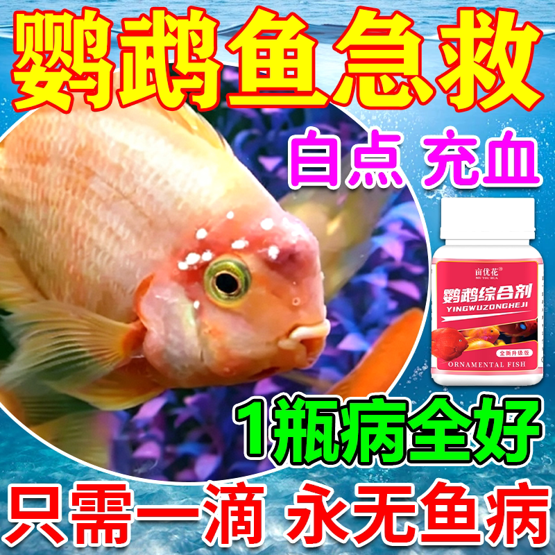鹦鹉鱼专用药红鹦鹉鱼血鹦鹉烂身白霉水白点头洞烂腮凸眼长白毛W