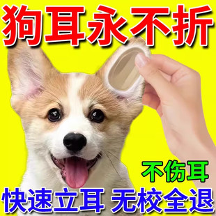 狗狗立耳贴竖耳神器柯基幼犬德牧狼青莱州红辅助黑狼立耳折耳矫正