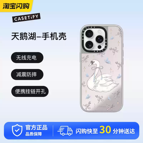 CASETiFY 天鹅湖 镜面手机保护套磁吸充电适用于苹果iPhone16ProMax/16Pro防摔手机壳