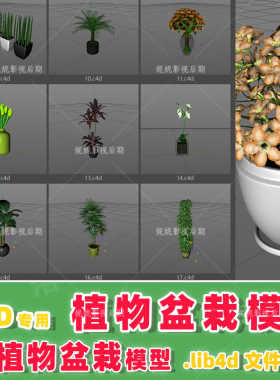 m18- c4 20套C4D植物模型预设 .lib4d m18- c4d模型 预设 .lib4d