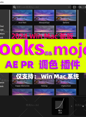 AE Magic Bullet Suite mojo looks插件调色滤镜2024版WinMac汉化
