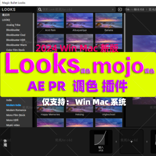 AE Magic Bullet Suite mojo looks插件调色滤镜2024版WinMac汉化