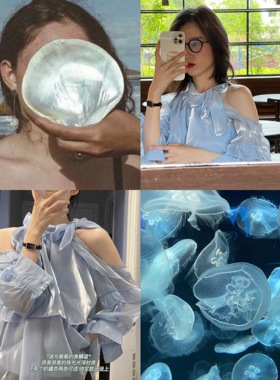 {人鱼仙迹蓝}_22秋 缎面细闪绑带式荷叶边 欧根纱露肩衬衫上衣