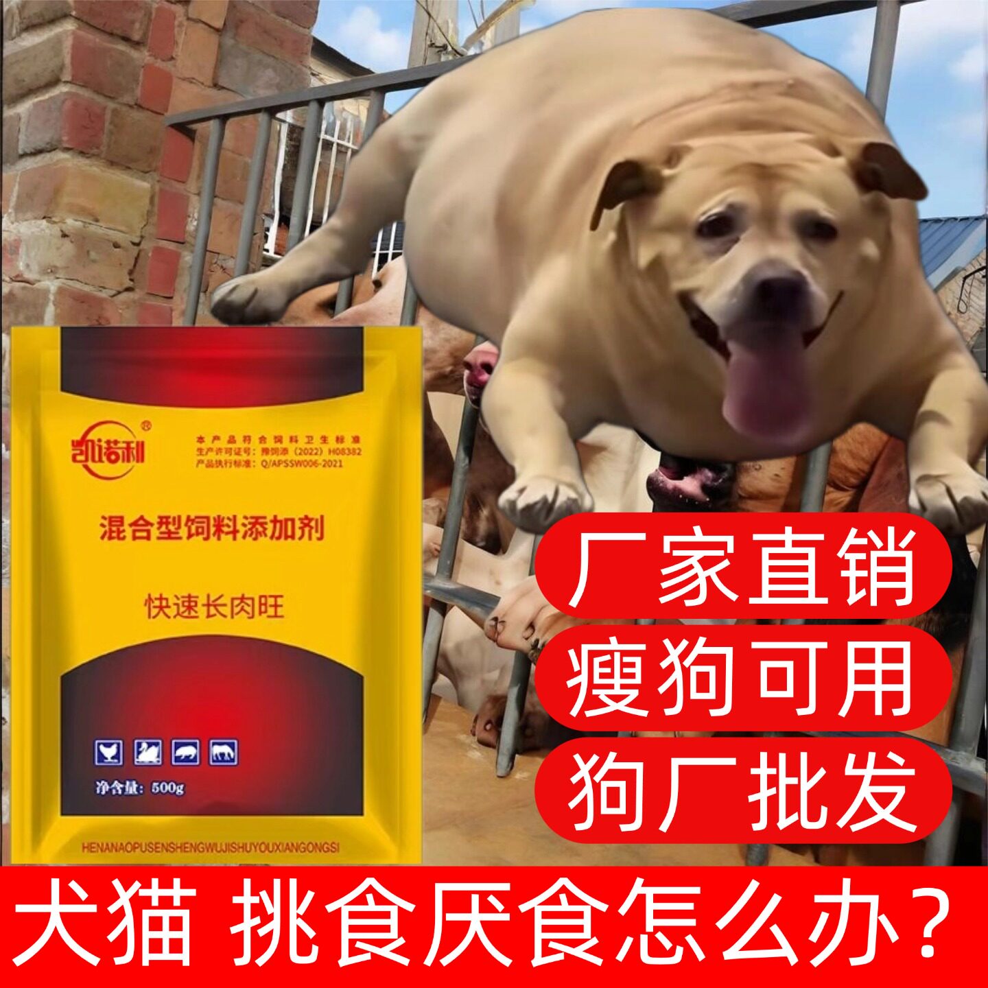 狗狗不吃饭怎么办狗厌食挑食没精神专用开胃药快速增催肥长肉饲料