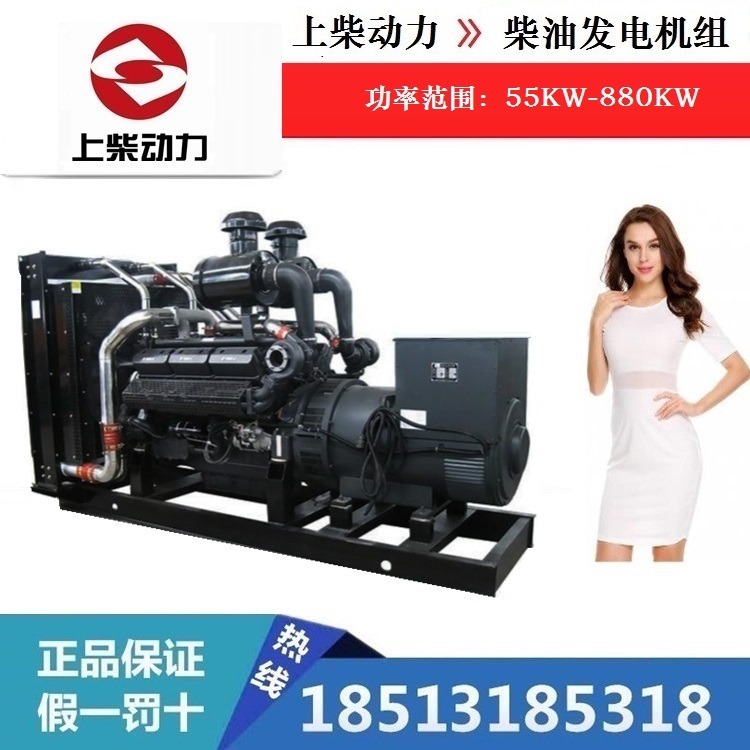 上柴动力580kw柴油发电机组 640千瓦 上海菱重 6缸s6r2-ptaa-c 铜