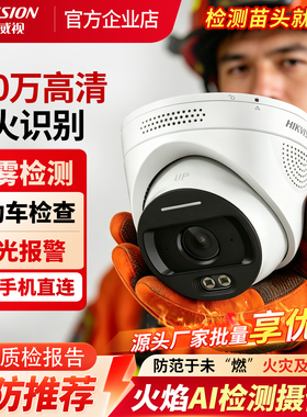 海康威视火灾火焰探测摄像头消防火灾火点识别报警监控V3H/V2H-P