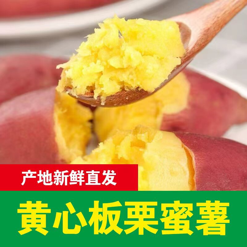 2026年山东新鲜黄心板栗薯沙地种植粉糯红薯