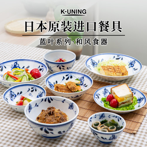 成年人K-UNING陶瓷日本进口植物