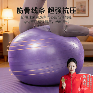 瑜伽球普拉提球健身球pvc加厚孕妇助产凯格尔儿童感统训练平衡球