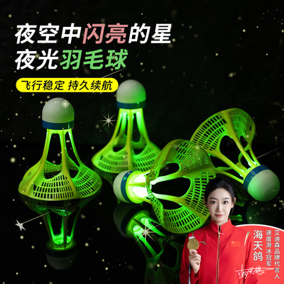发光羽毛球夜用户外带灯尼龙防风球耐打塑料训练球夜光高弹力抗风