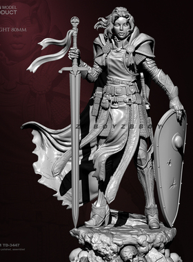 80mm ZBBOY监制 圣剑骑士  树脂手办 兵人 白模 TD-3447