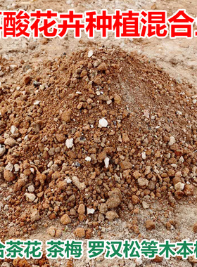 花农混合土偏酸性红土黄土沙性土壤山茶花茶梅茶花杜鹃通用种植土
