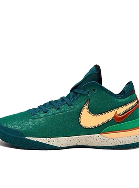 耐克Nike LeBron NXXT舒适百搭耐磨轻便篮球鞋DR8788-301广东cj仓