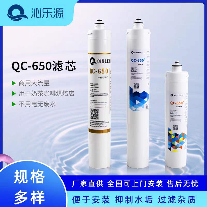 沁乐源爱惠浦净水器滤芯奶茶咖啡店自来水过滤爱惠浦通用杀菌抑垢