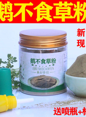 鹅不食草新鲜现磨测试推荐