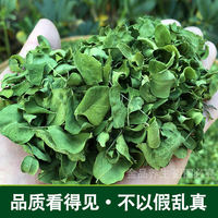 Moringa leaves and dried Moringa leaves can be used to make tea. Non-indian imported Moringa seed tea is edible. 500g Moringa leaf powder with free shipping thumbnail 5