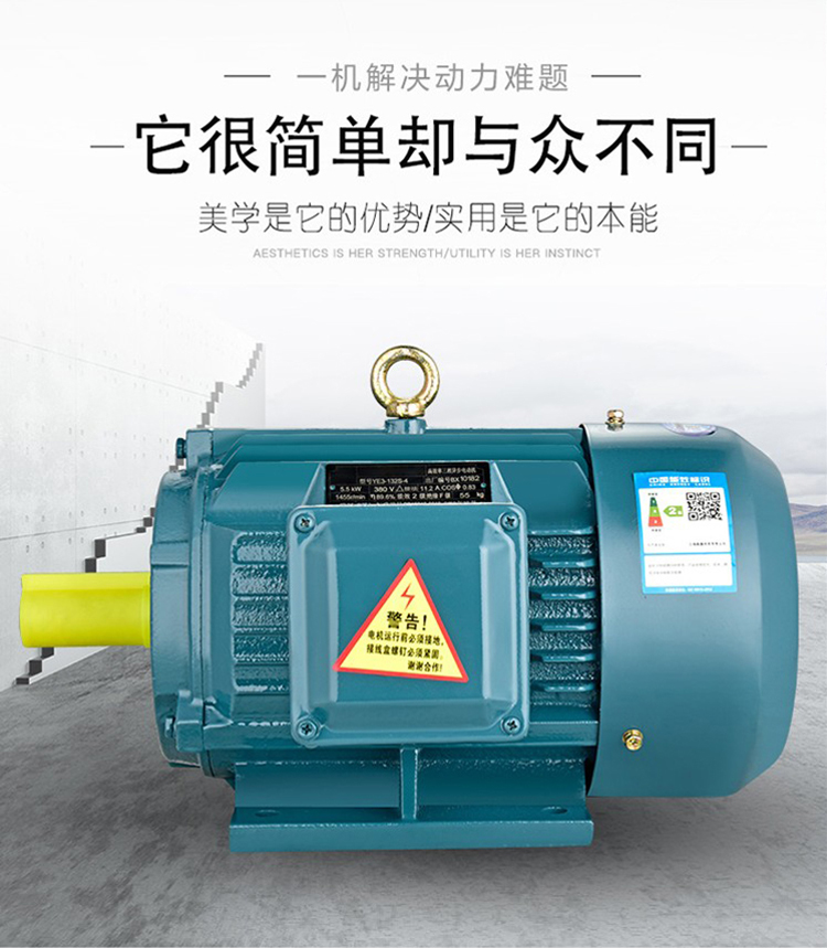 ye4-160l 180m 200l 225s 225m 280s -2 4 6两级能效国标铜线电机