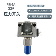 德国FEMA菲玛 DCM06 DDCM1 DCM25 DVR3 锅炉压力开关