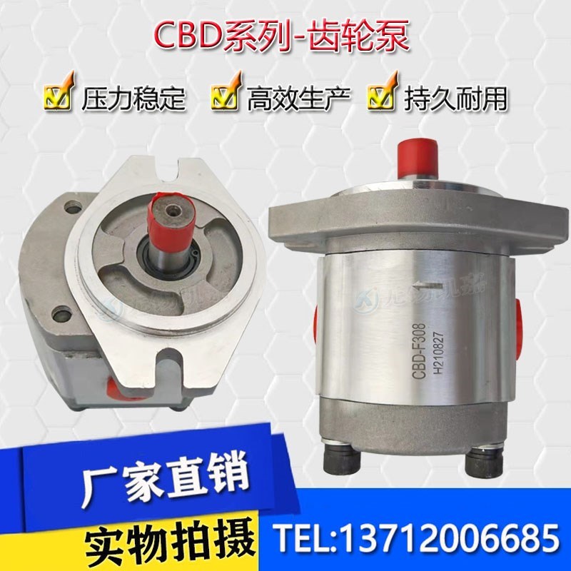 油泵9齿花健 CBD系列液压齿轮泵 CBD-F308 L20S1 CBD-F310 L20S1