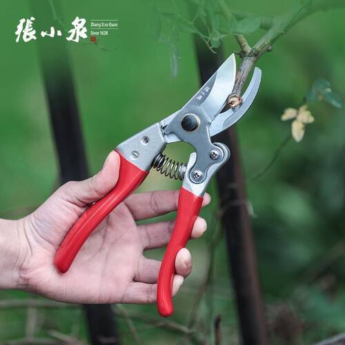 张小泉修枝剪刀果树园艺园林花木省力修花枝SK5钢整枝剪刀药材剪
